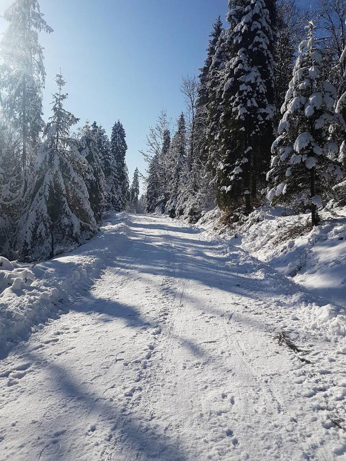Skalny Zakatek Z Grota Solna Na Wylacznosc Lapsze Nizne Exterior photo